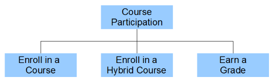 Course Participation